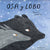 Osa y Lobo - Tintaleo Store
